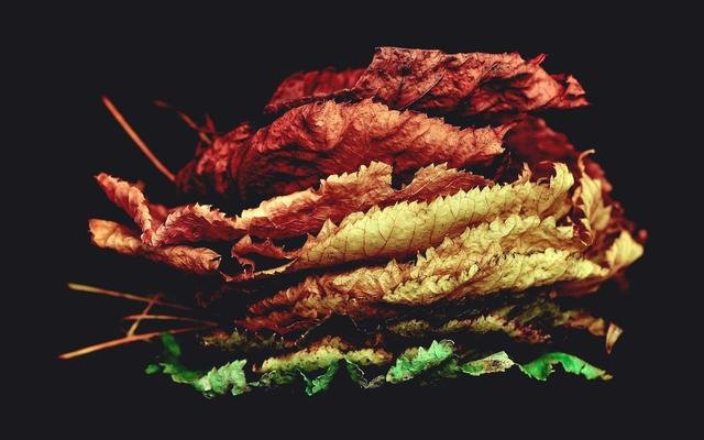 5-Star Haram View Rooms