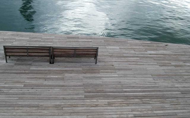 Scholar-Led Guidance