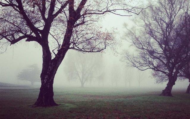 Zamzam Water Included