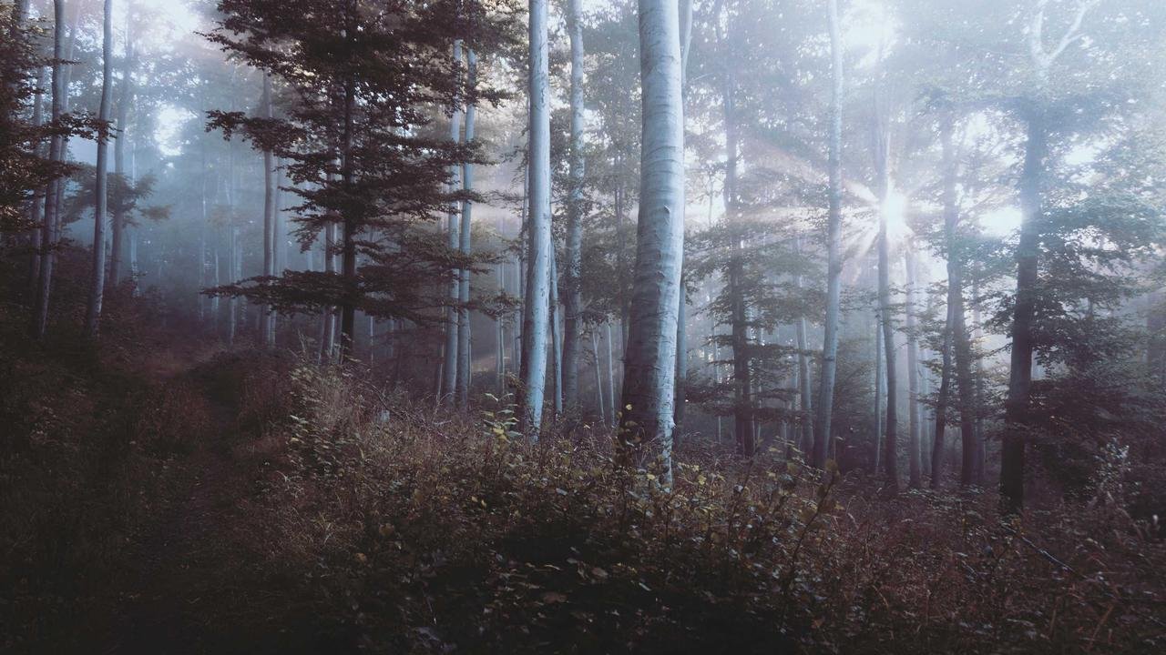 Premium Hajj Package